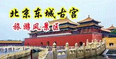 打飞机大肉棒插高潮喷水视频中国北京-东城古宫旅游风景区